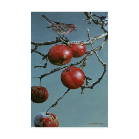 Ron Parker 'Winter Apples Purple Finch' Canvas Art,16x24